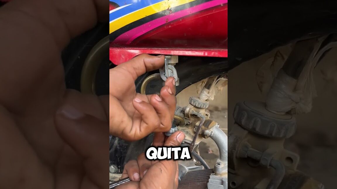tip rapido